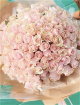 Bouquets | Blush Rose Bouquet