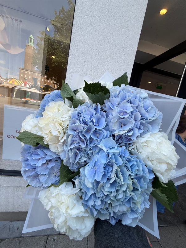 Arrangements | Bouquets | Hydrangea Dream