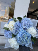 Arrangements | Bouquets | Hydrangea Dream