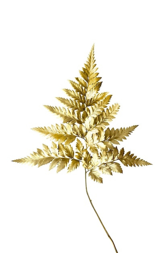 Baby Shower & New Arrival | Luxury Bouquets | Rose Bouquets | Upsell gifts | Gold Leatherleaf Foliage