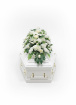 Arrangements | Coffin Spray Ivory