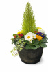 Easter flowers | Plants | Spring planter