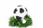 Funeral flowers | Football Tribute