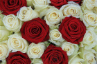 Bouquets | Valentine's Day | Red and White Rose Bouquet