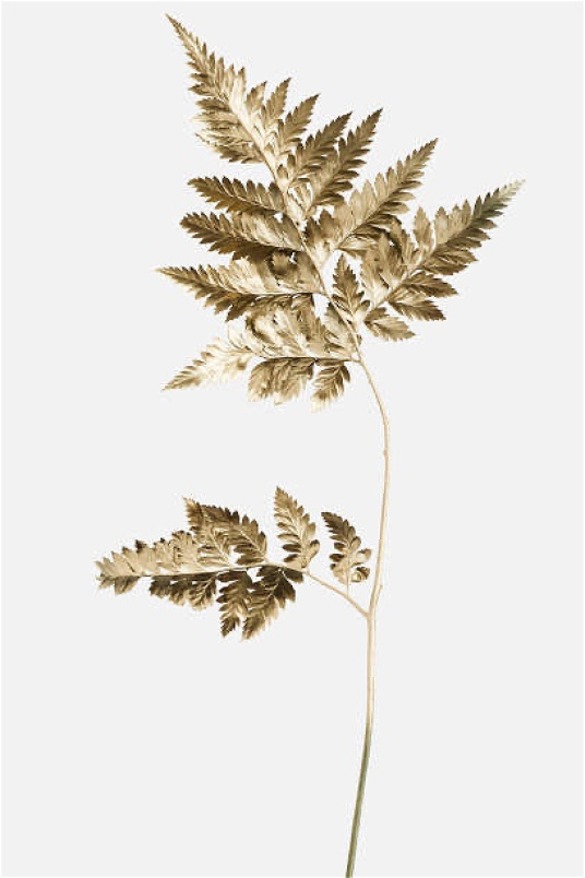 Bouquet Extras | Upsell gifts | Gold Foliage