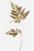 Bouquet Extras | Upsell gifts | Gold Foliage