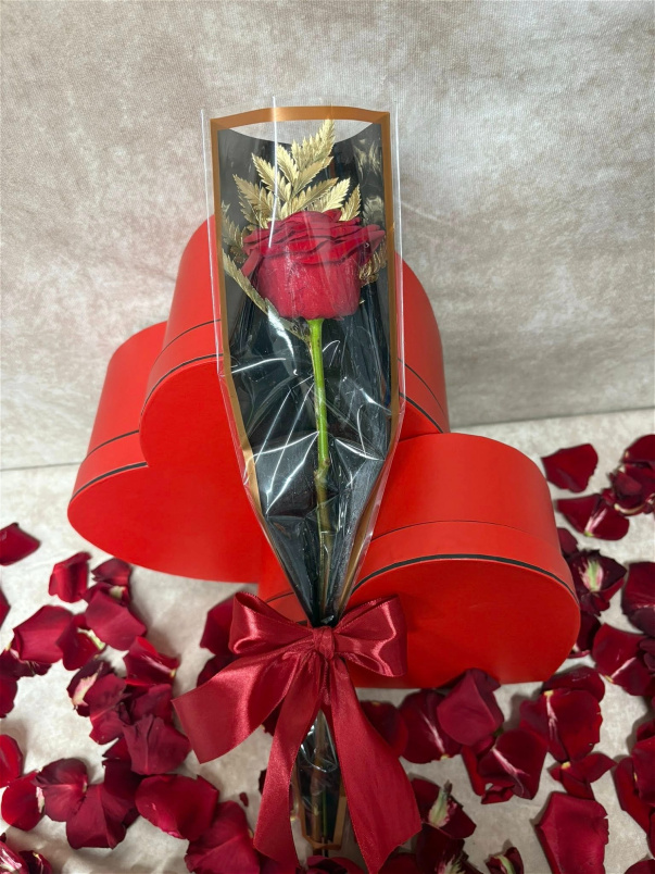 Valentine's Day | Single Red Rose