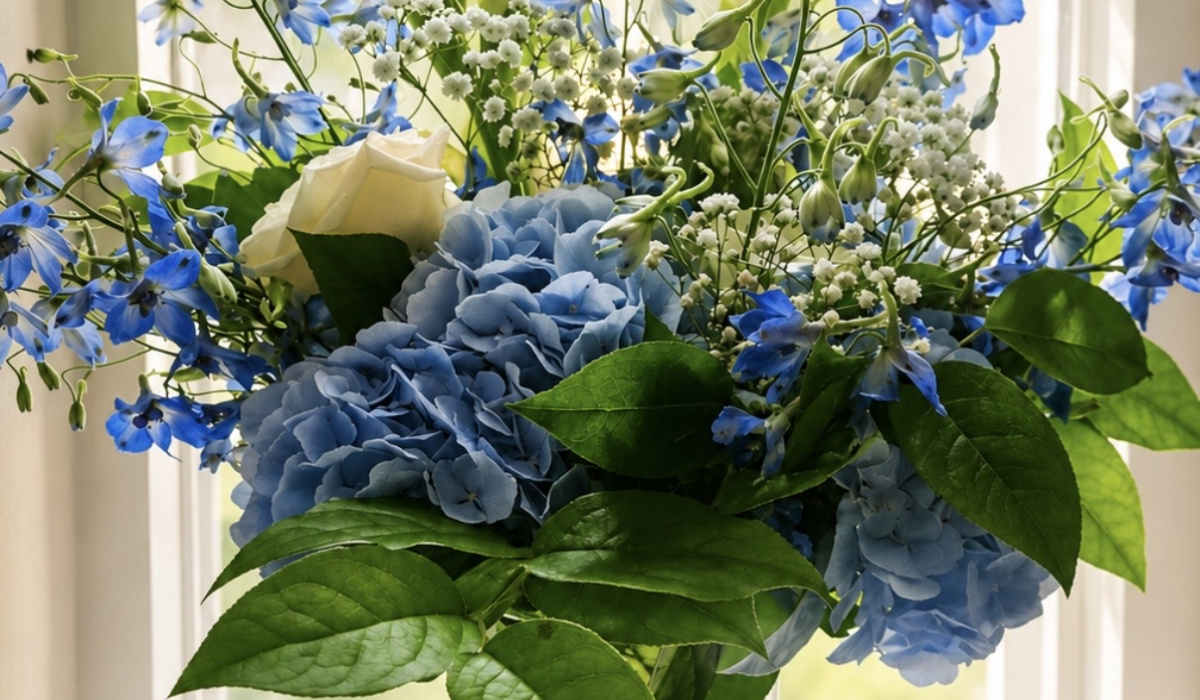 Garden Whispers Florist | Fareham | Home