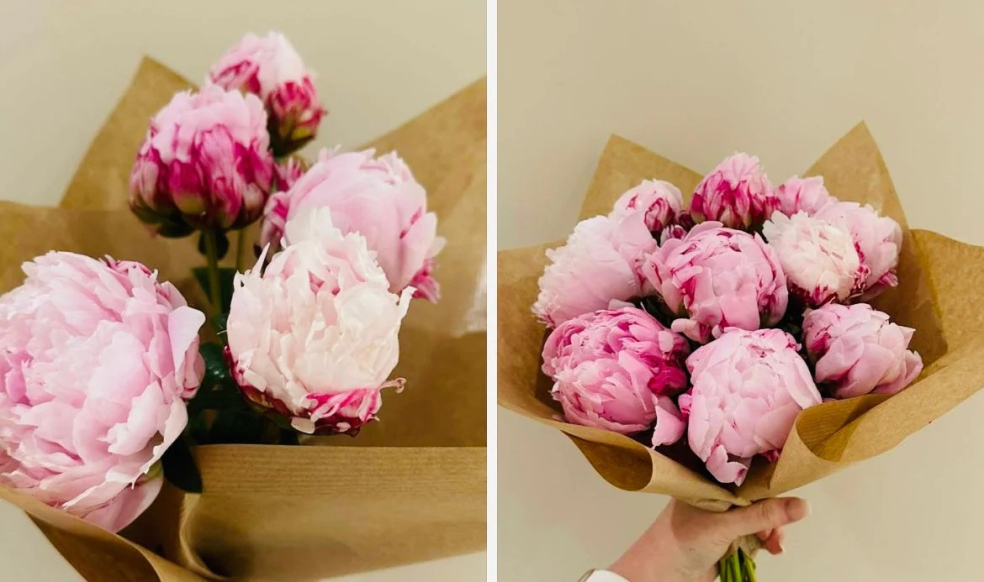 Garden Whispers Florist | Fareham | The Hidden Meaning Behind 12 Popular Flowers