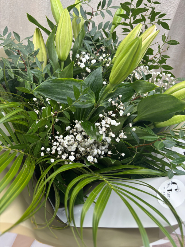 Mothers Day 2026 | Mothers Lilly’s