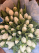Every Day Bouquets | Seasonal tulips