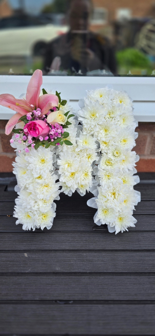 Blooming Petals | Home