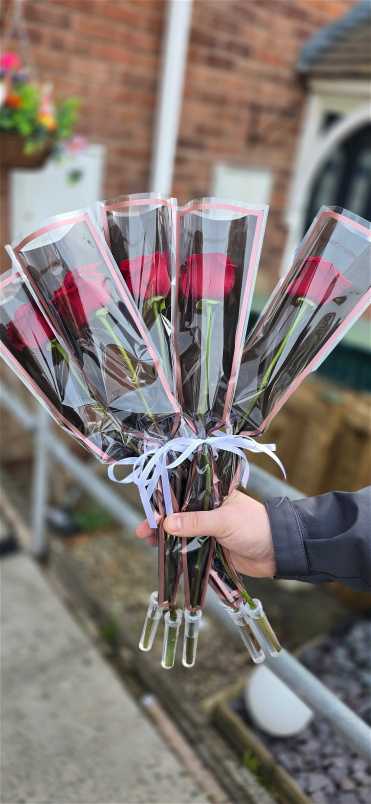 Bouquets | Rose Bouquets | Single Rose