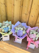 Bouquets | Florist Choice