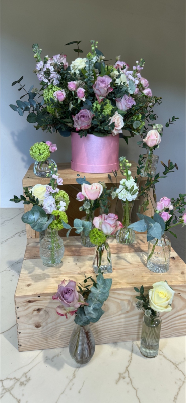 Broomfield Bloom | Home