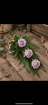 Arrangements | Funeral | The Elegant Rose