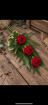 Arrangements | Funeral | The Elegant Rose