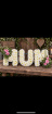 Funeral | Funeral Letters With Spray Detail