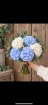 Anniversary/ I Love You | Arrangements | Birthday | Bouquets | Gifts | Hydrangea Hugs