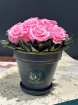 Arrangements | Preserved rose arrangements
