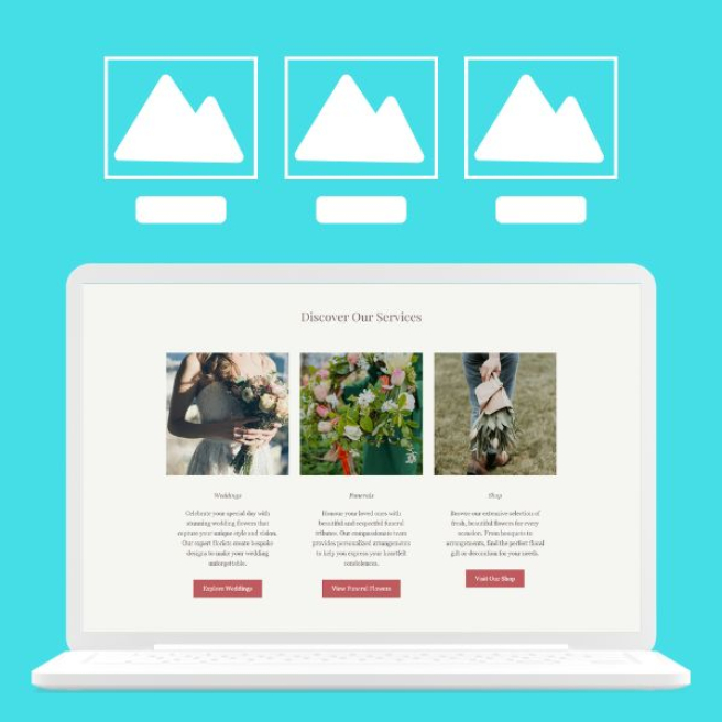 Test4 Default Live | Cardiff | sample