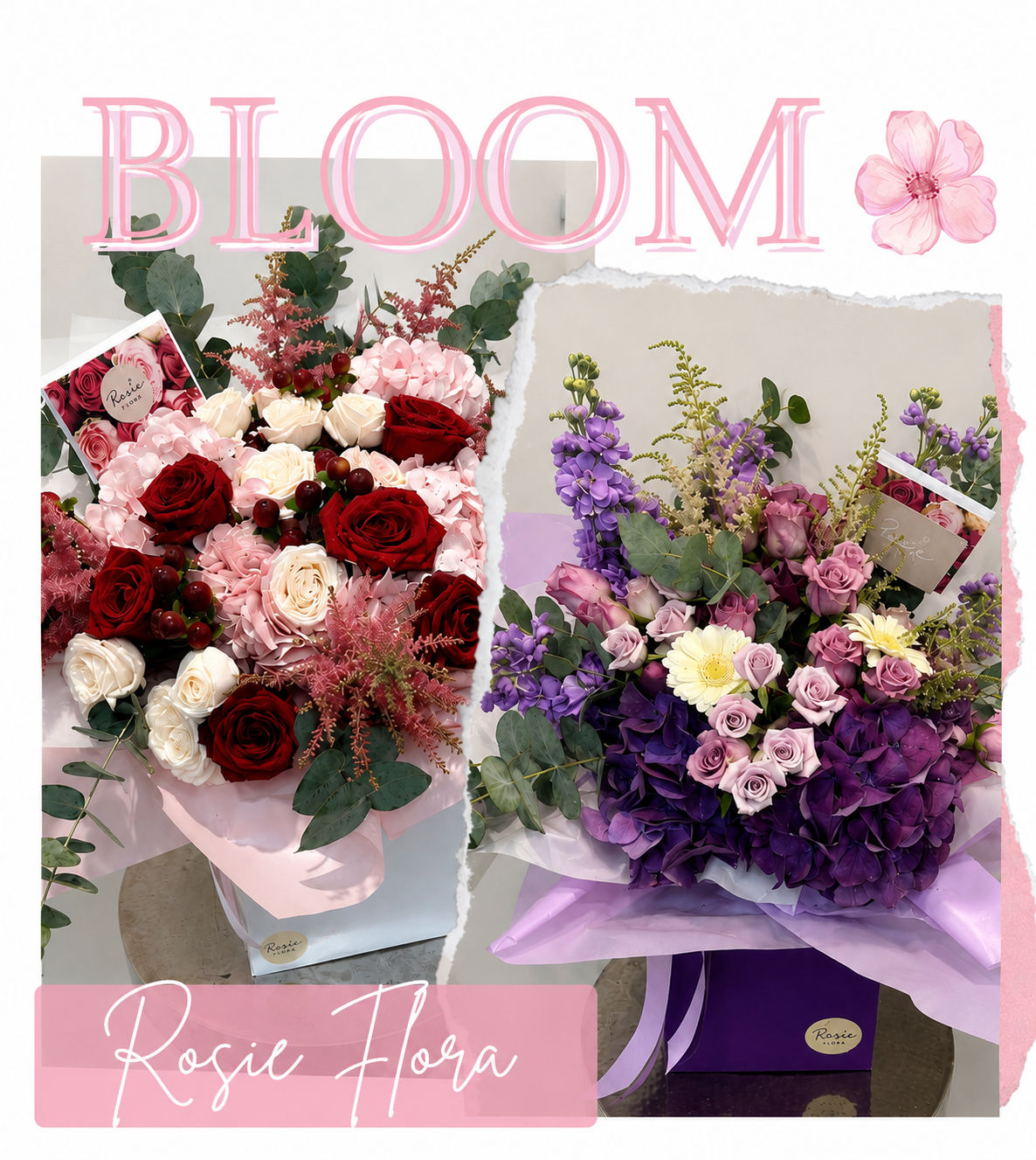 Rosie Flora | Alfreton | Home