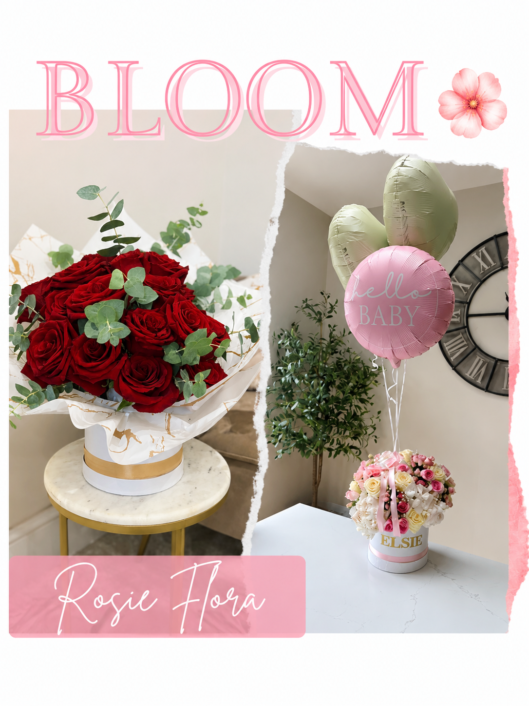 Rosie Flora | Alfreton | Home