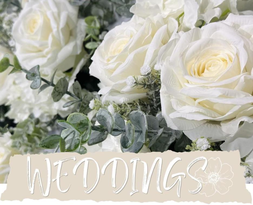 Rosie Flora | Alfreton | Home