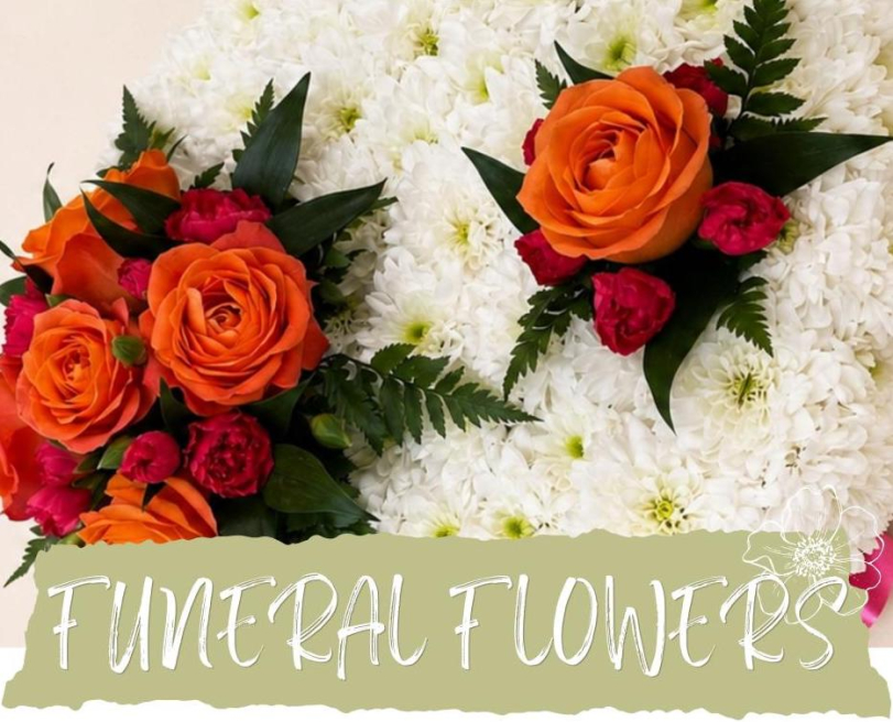 Rosie Flora | Alfreton | Home