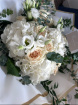 Fresh Flowers | Hayley