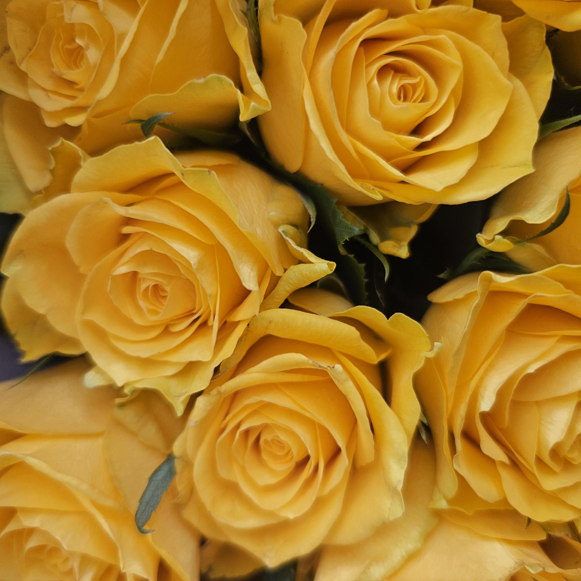 Honey and Bloom Floristry | Derry | Home
