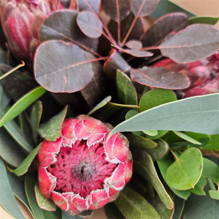 Bouquets | The Protea Trio