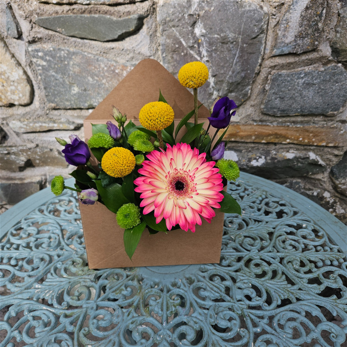 Arrangements | Gifts | Envelope of Blooms