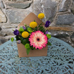 Arrangements | Gifts | Envelope of Blooms