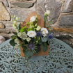 Arrangements | Gifts | Envelope of Blooms