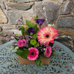 Arrangements | Gifts | Envelope of Blooms