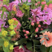 Bouquets | Sweet Harmony