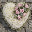 Funerals | Blush Funeral Package