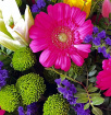 Gifts | Splash of Colour