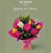 Gifts | Splash of Colour