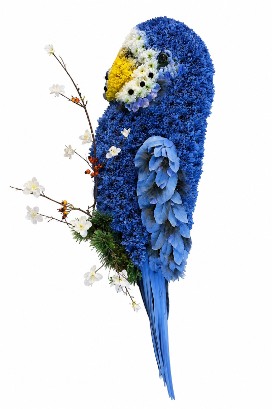 Animal Tributes | Funerals | Parrot Tribute