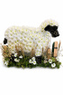 Animal Tributes | Funerals | Sheep Tribute