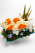 Animal Tributes | Funerals | Fish Tribute