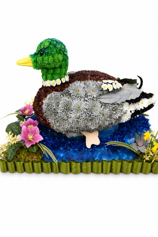 Animal Tributes | Funerals | Mallard Tribute