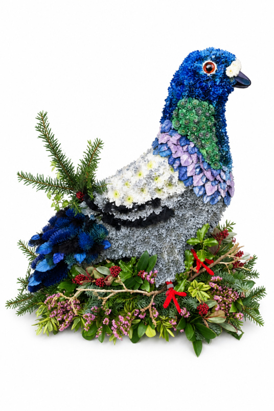 Animal Tributes | Funerals | Pigeon Tribute