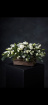 Funeral Flowers | Tear drop and Double Ended Sprays