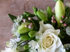 Bouquets | Christmas Shop | Corporate Floristry | Gifts | Plants & Gifts | Christmas Wishes