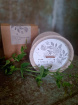 Arrangements | Bouquets | Gifts | Plants & Gifts | Bobella Natural Scented Candles