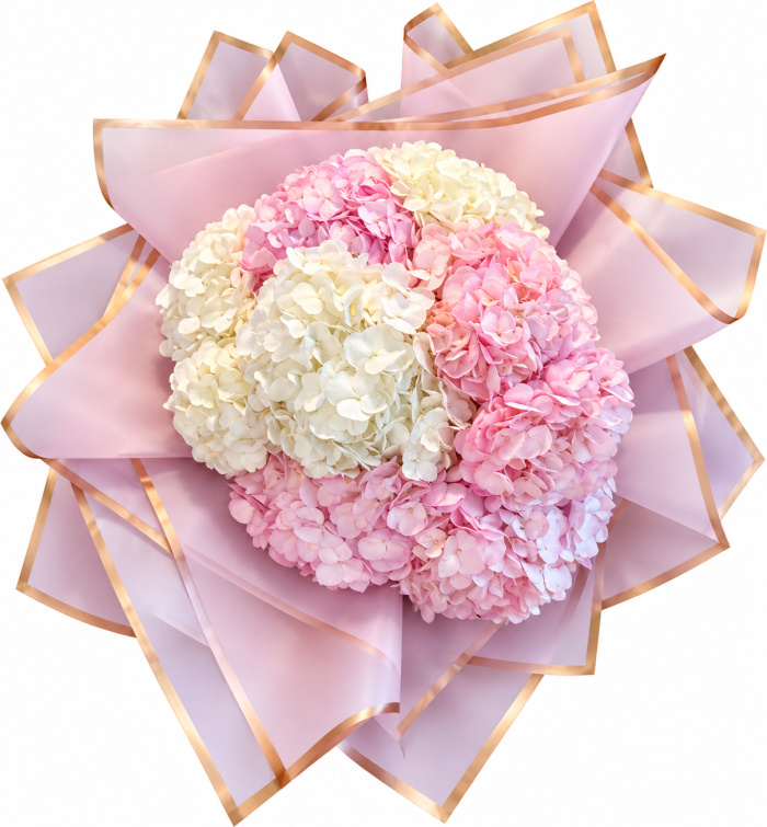 Bouquets | Hydrangea Heaven