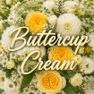 Wedding Flowers | Buttercup Cream Bridal Bouquet